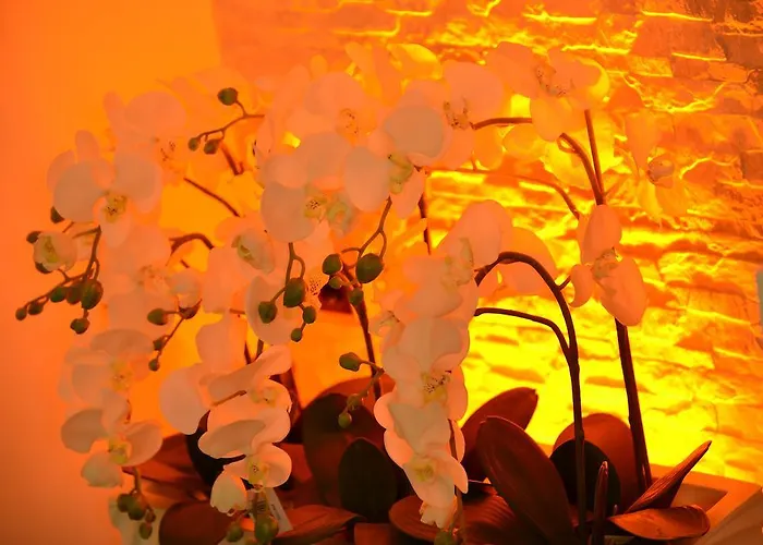 Sari Konak Apart * Adana